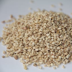 Corncob-02