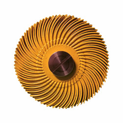 Radial Bristle Brush 1