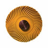 Radial Bristle Brush 1